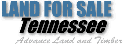 Tennessee Land,land for sale,Tenessee Land for sale,land, sale, property,tenessee property,tenessee Property,land for sale Tennessee,sold land in Tennessee,Tennessee property,land for sale southeast,Advance Land and Timber,Tennessee Timberland,TN Timber